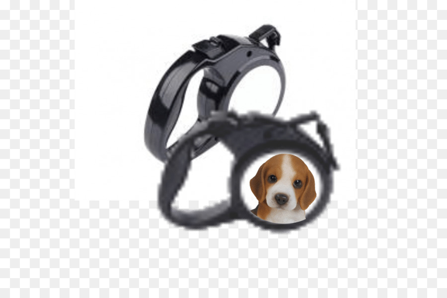 Cão，Leash PNG