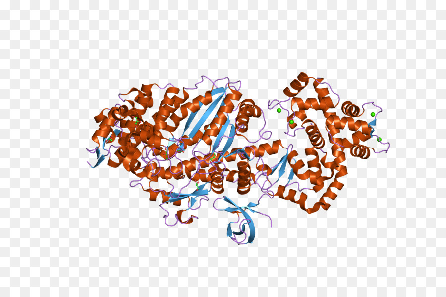 Estrutura Proteica，Molécula PNG