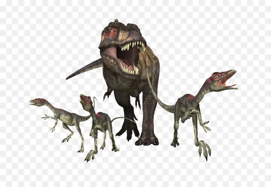 Tiranossauro，Velociraptor PNG