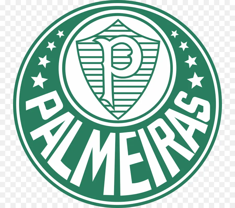 Sociedade Esportiva Palmeiras，Copa Libertadores PNG