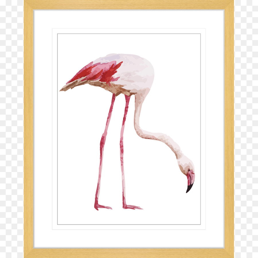 Flamingo，Papel De Parede Da área De Trabalho PNG