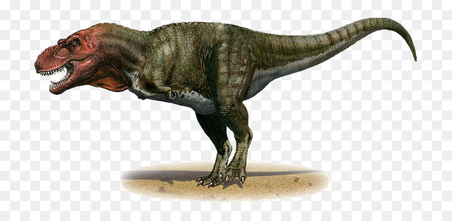 Dinossauro，Pré Histórico PNG