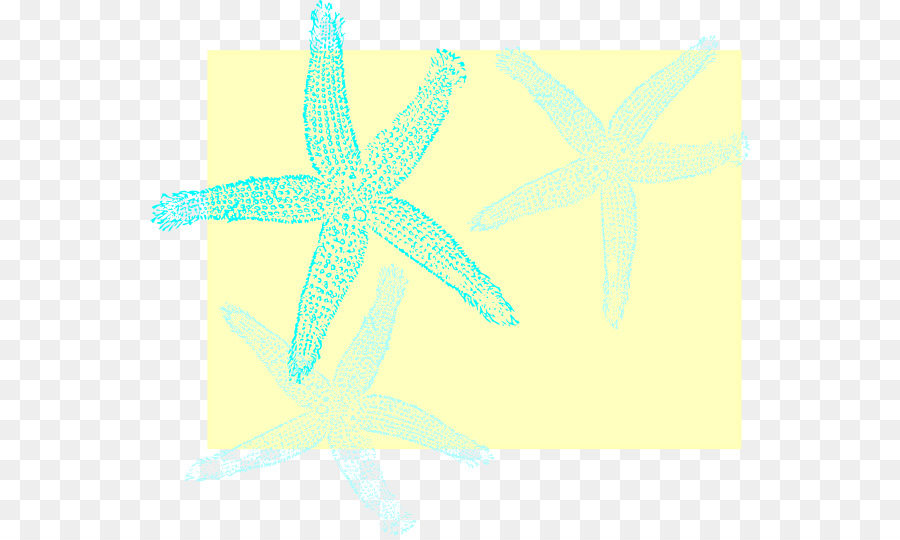 Estrela Do Mar，Papel De Parede Da área De Trabalho PNG