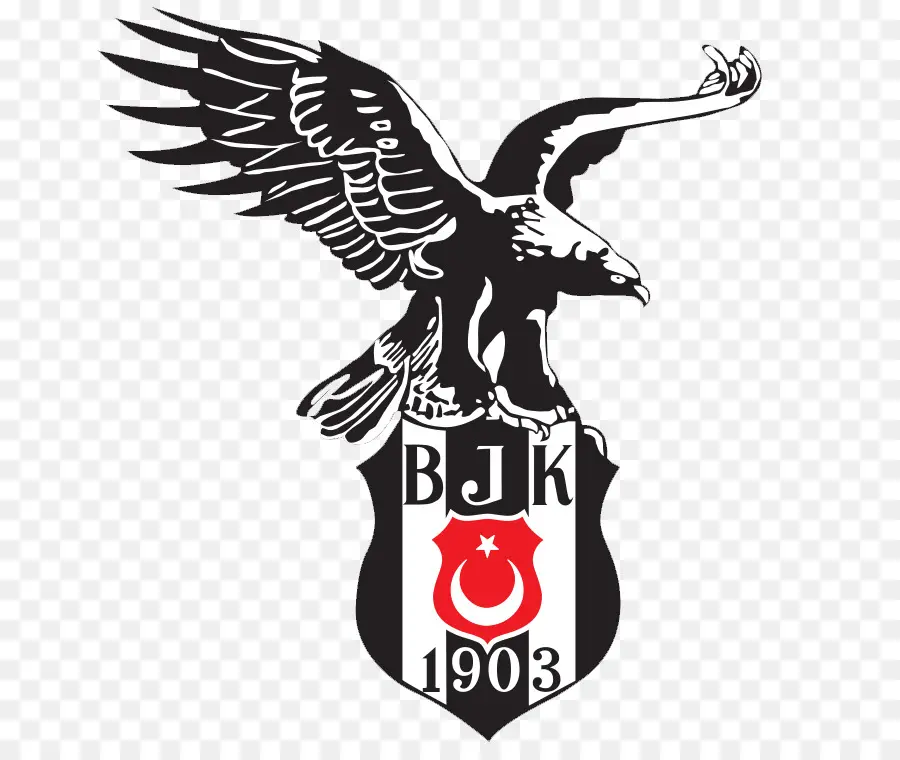 O Besiktas Jk Time De Futebol，Sonho Da Liga De Futebol PNG