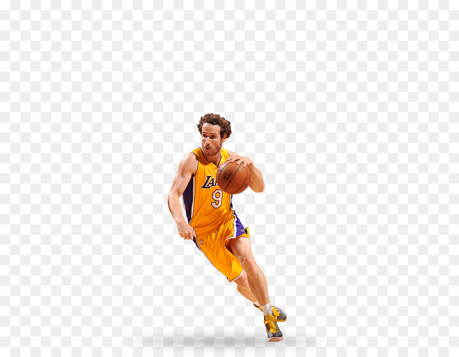 Los Angeles Lakers，201617 Los Angeles Lakers Da Temporada PNG