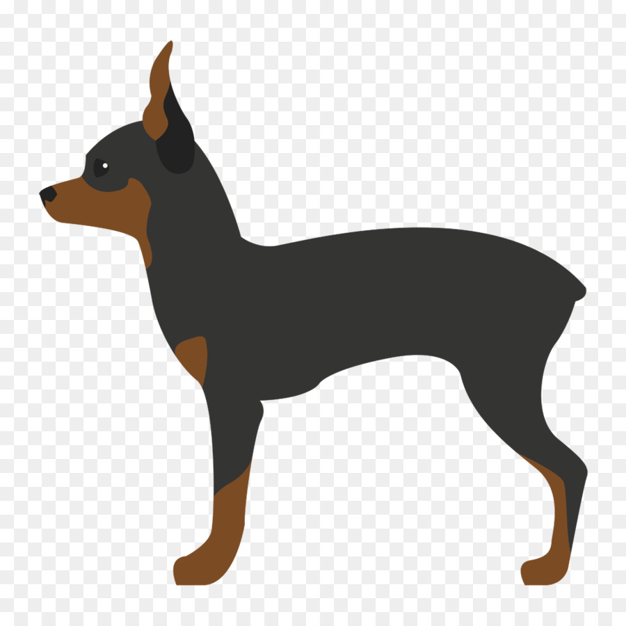 Pinscher Miniatura，Inglês Toy Terrier PNG