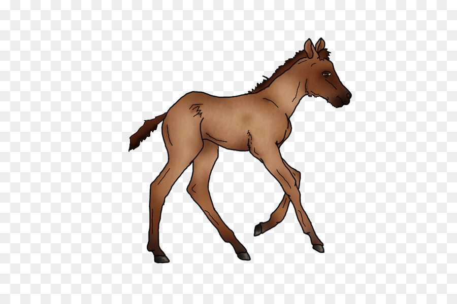 Mustang，Potro PNG