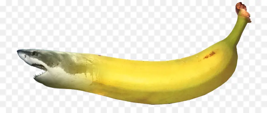 Tubarão Banana，Fruta PNG