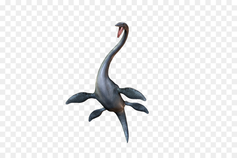 Plesiossauro，Dinossauro PNG