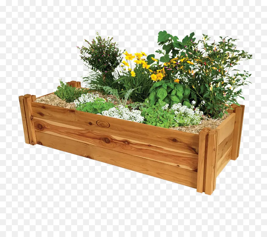 Tabela，Raisedbed De Jardinagem PNG