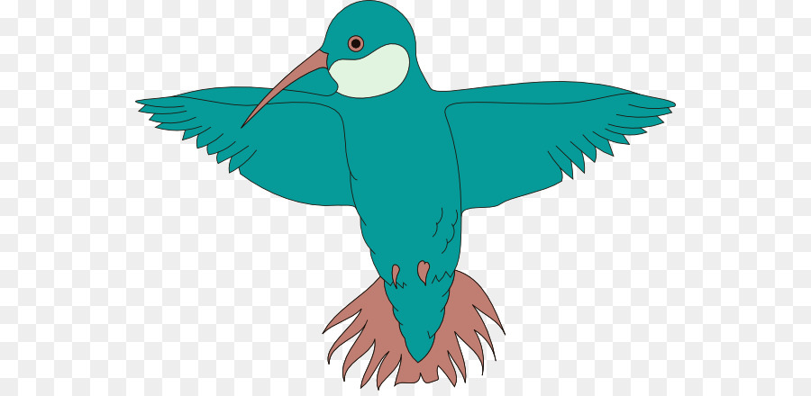 Aves，Beija Flor PNG