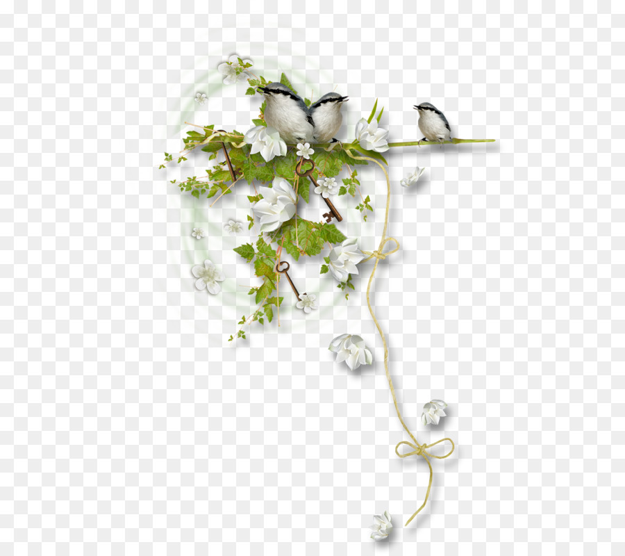 Design Floral，A Jóia Do Corpo PNG