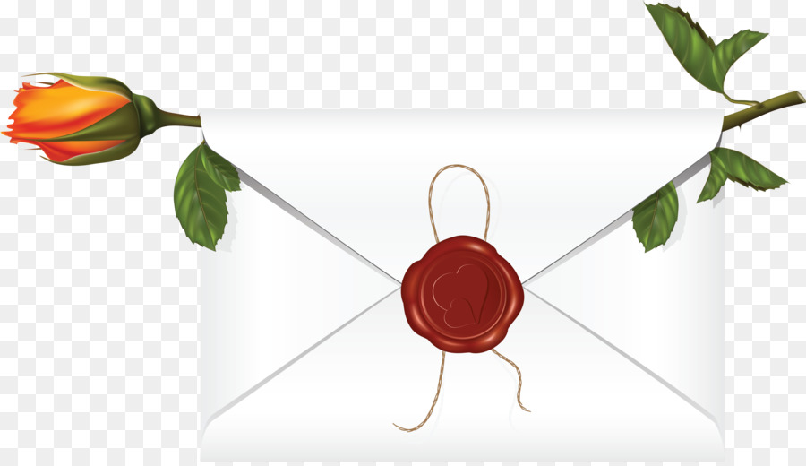 Envelope，Rosa PNG