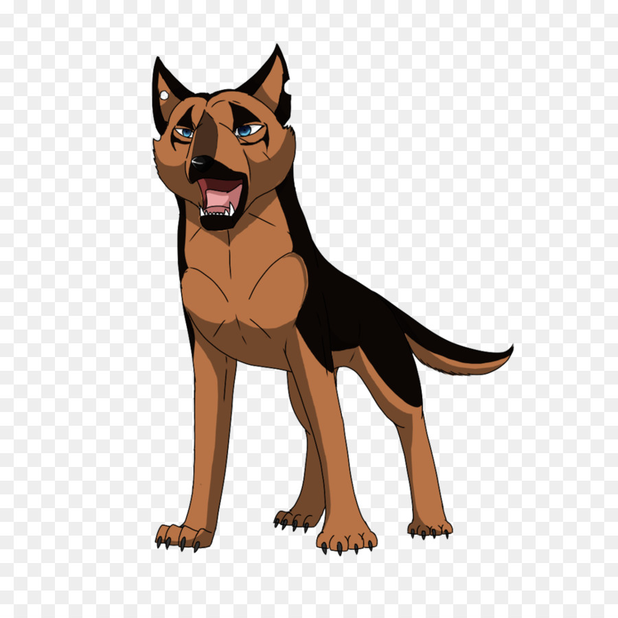 Kelpie Australiano，Raça Do Cão PNG