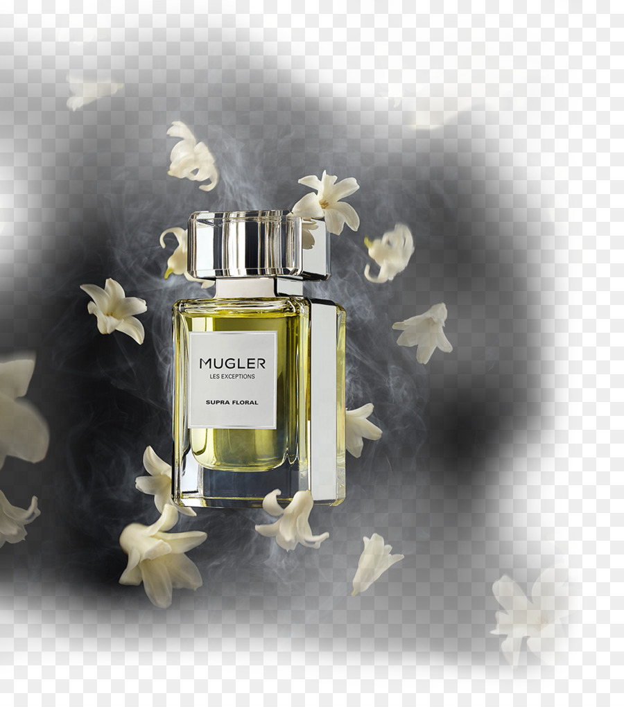 Perfume，Designer PNG