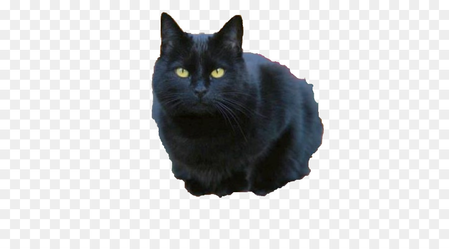 Gato Preto，Pelagem PNG