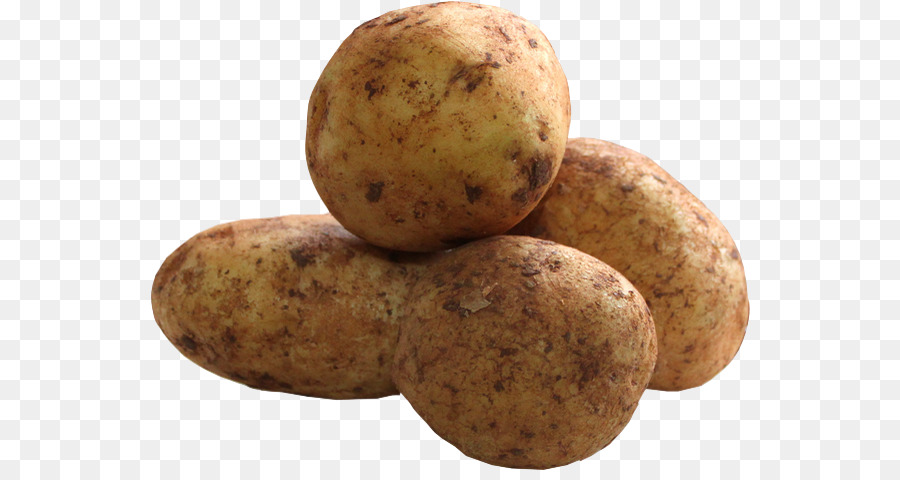 Russet Burbank Batata，O Ouro De Yukon Batata PNG