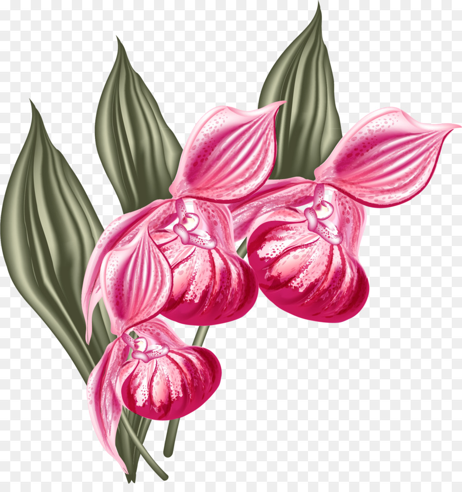 Traça Orquídeas，Design Gráfico PNG