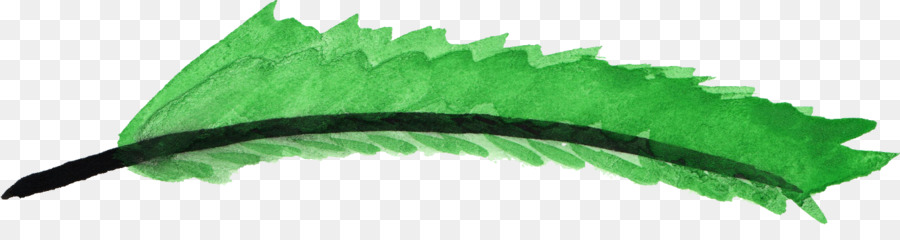 Verde，Pena PNG