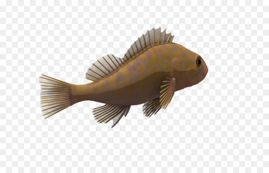 Peixe，Animais PNG