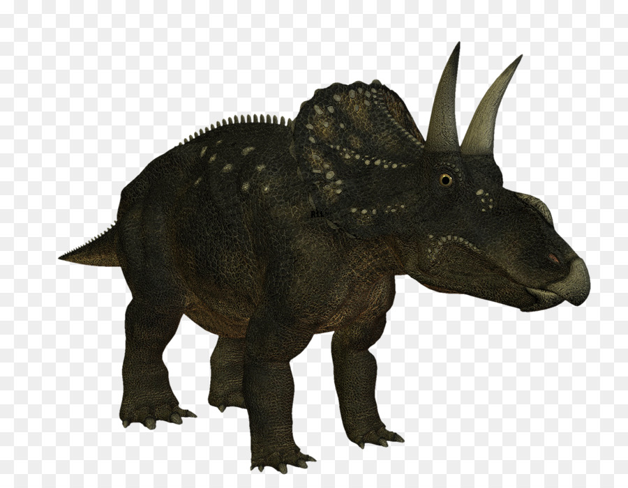 Tiranossauro，Monoclonius PNG