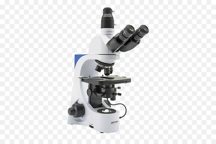 Brightfield Microscopia，Microscópio óptico PNG