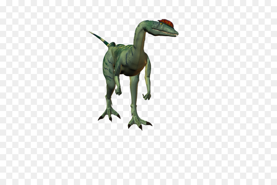 Velociraptor，Tiranossauro PNG