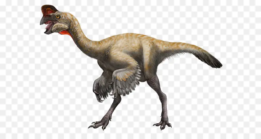 Dinossauro Emplumado，Pré Histórico PNG