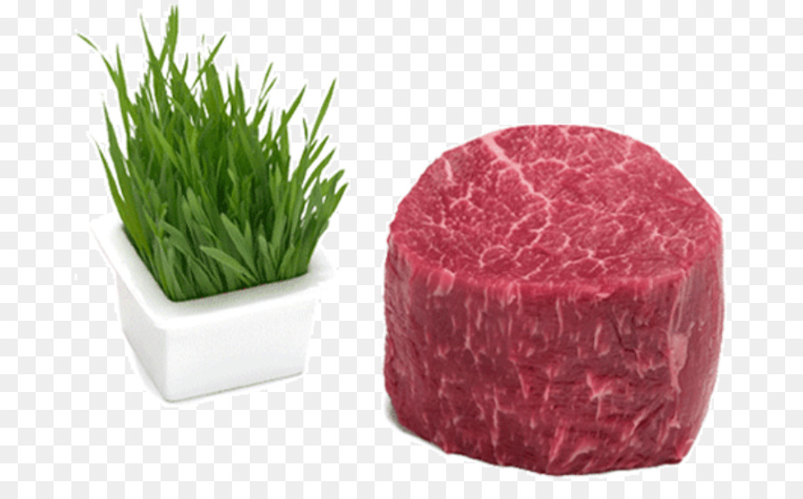 Angus Gado，Carne PNG