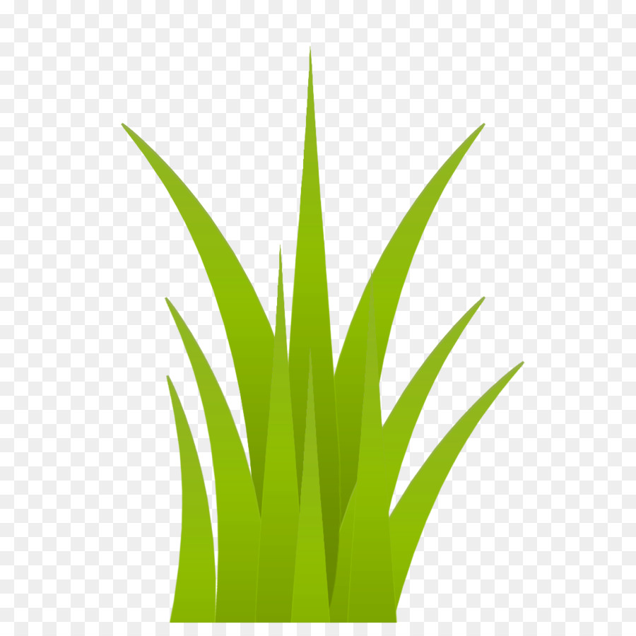 Grama，Verde PNG