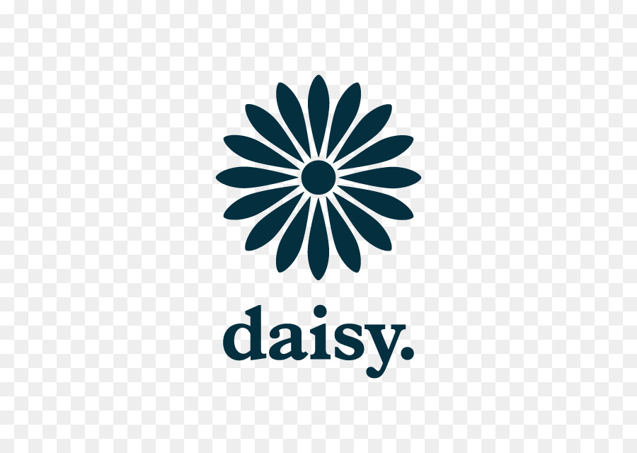 Comum Daisy，Flor PNG