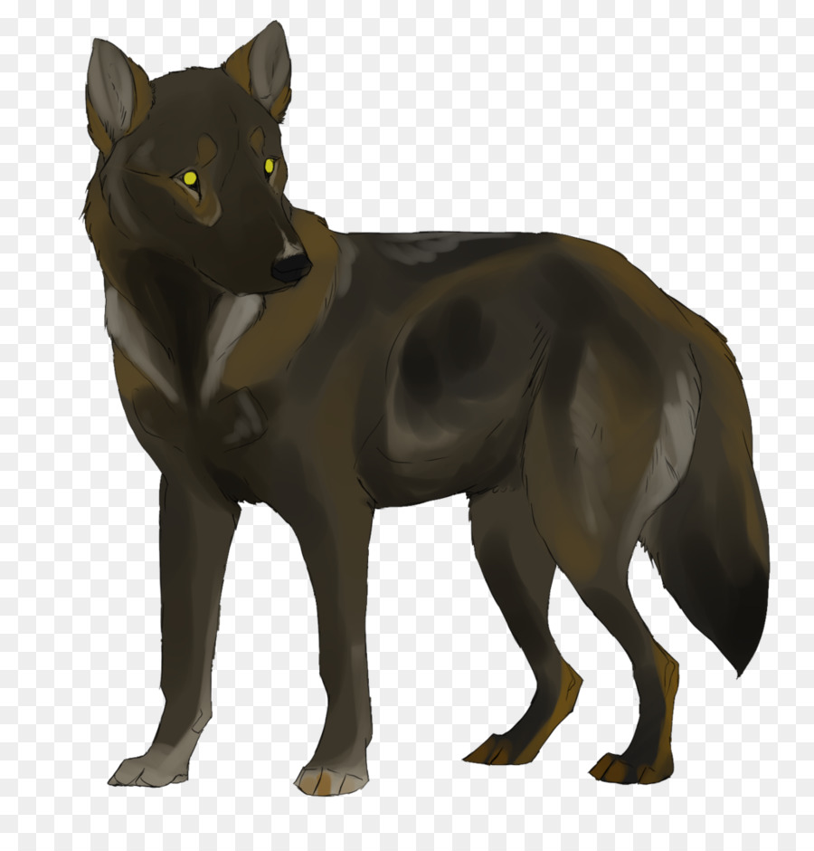 Cachorro，Preto PNG