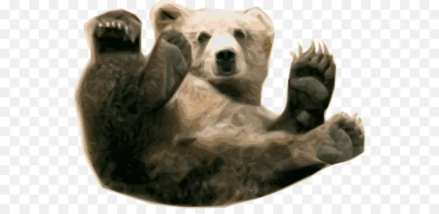Urso Marrom，Urso PNG