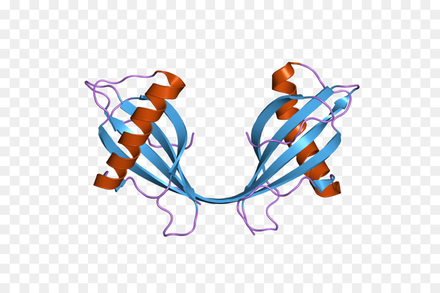 Cistatina B，Cistatina PNG