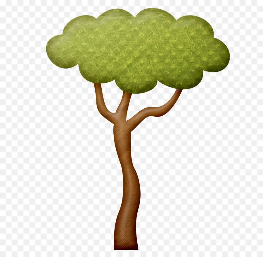 Safari，árvore PNG