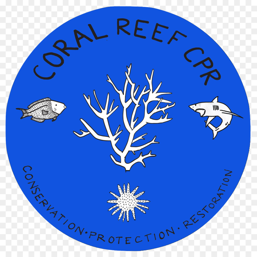 Global Coral Reef Crise，Recife De Coral PNG