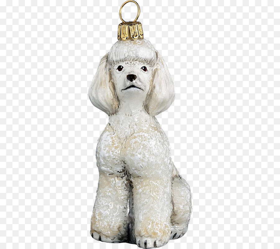 Poodle，Filhote De Cachorro PNG