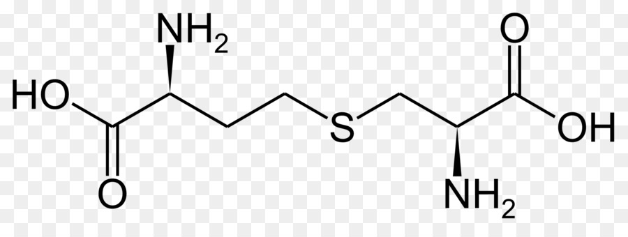 Synthase，A Cisteína PNG