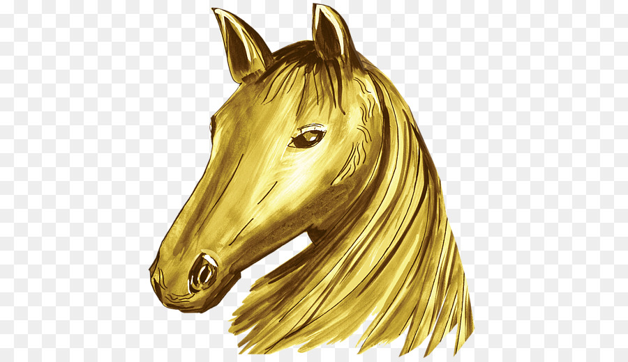 Cabeça De Cavalo Amarelo，Animal PNG