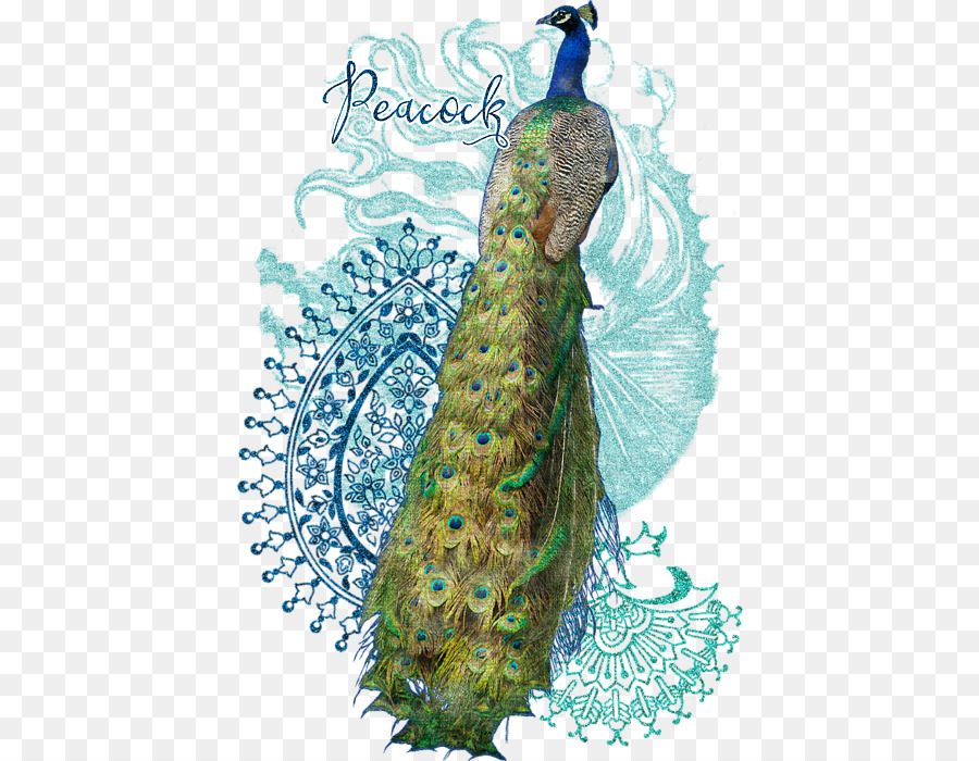 Pavão，Penas PNG