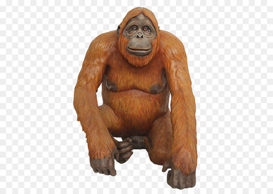 Gorila，Orangotango PNG