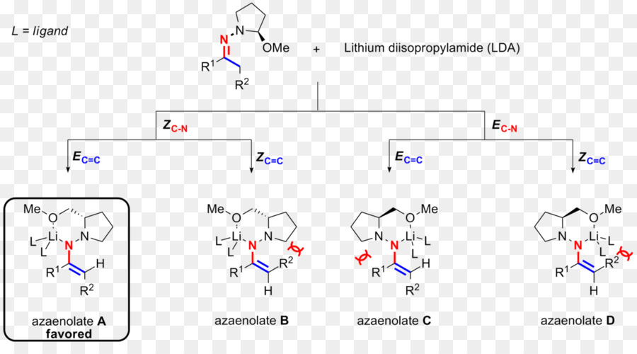 Enders Sampramp Hydrazonealkylation Reação，Auxiliar Quiral PNG