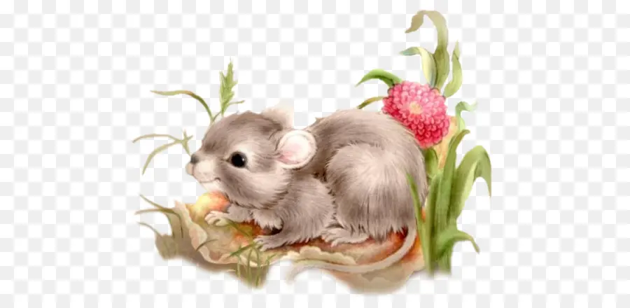 Rato Fofo，Flor PNG