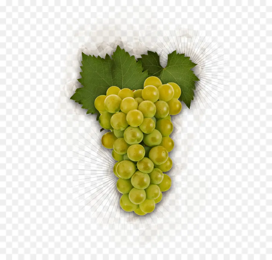 Uvas Verdes，Videira PNG