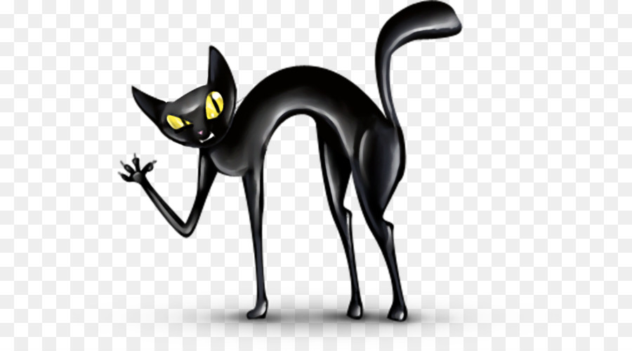 Gato Preto，Gato PNG