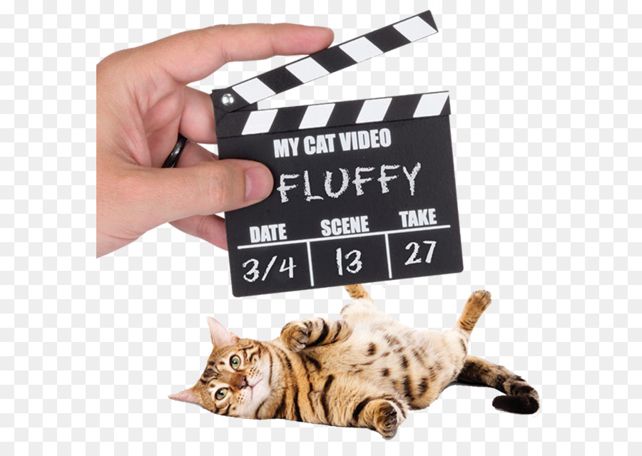 Gato，Clapperboard PNG
