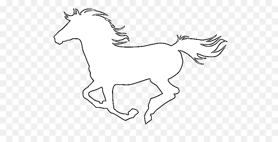 Cavalo Branco，Equino PNG