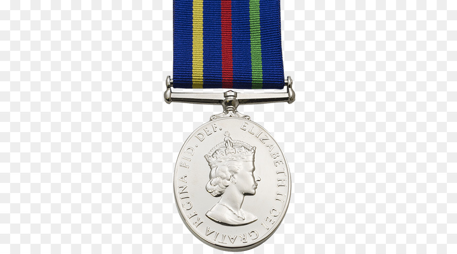 Medalha De Ouro，A Defesa Civil Medalha PNG