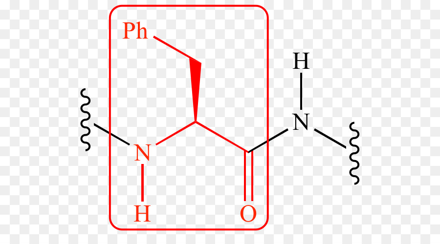 A Serina Protease，Serina PNG