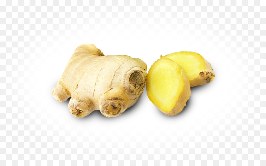 Filhote De Cachorro，Vegetais De Raiz PNG